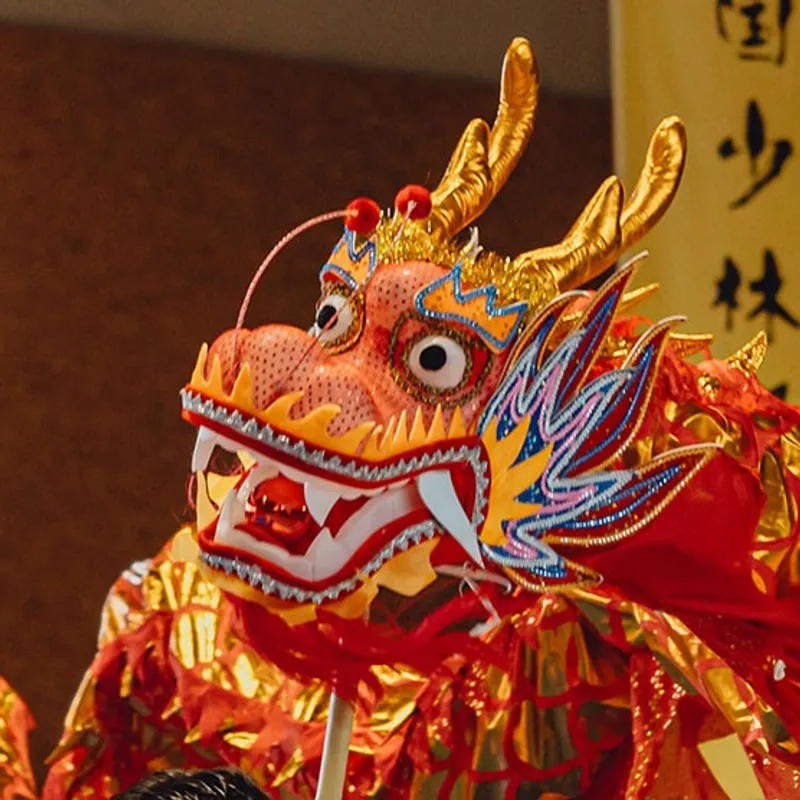 Notre Dragon